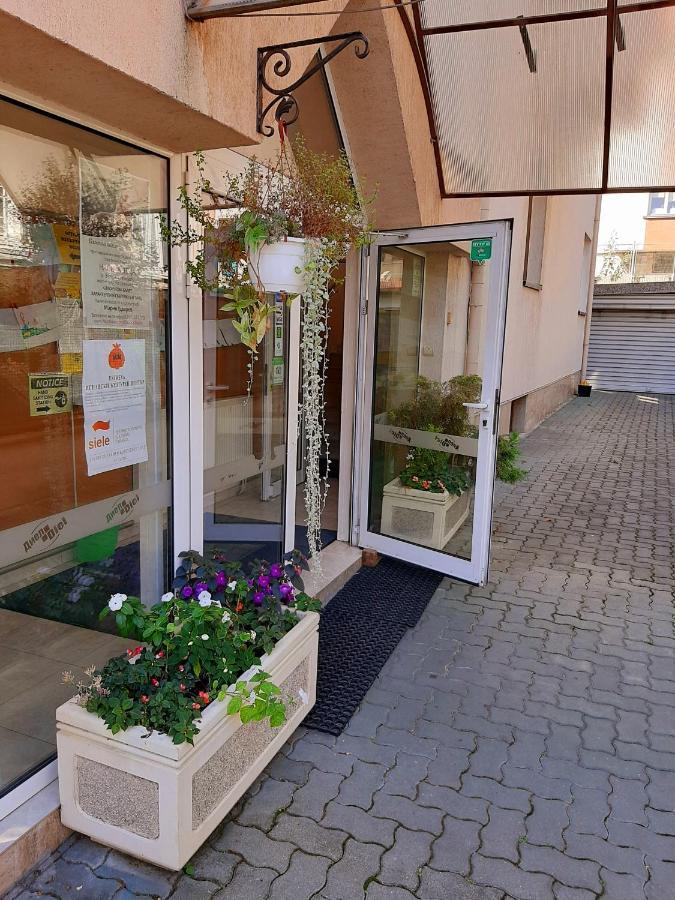 Guest House Diel Veliko Tărnovo Esterno foto